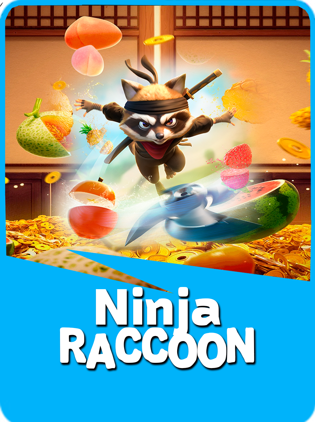 Ninja Raccoon Frenzy